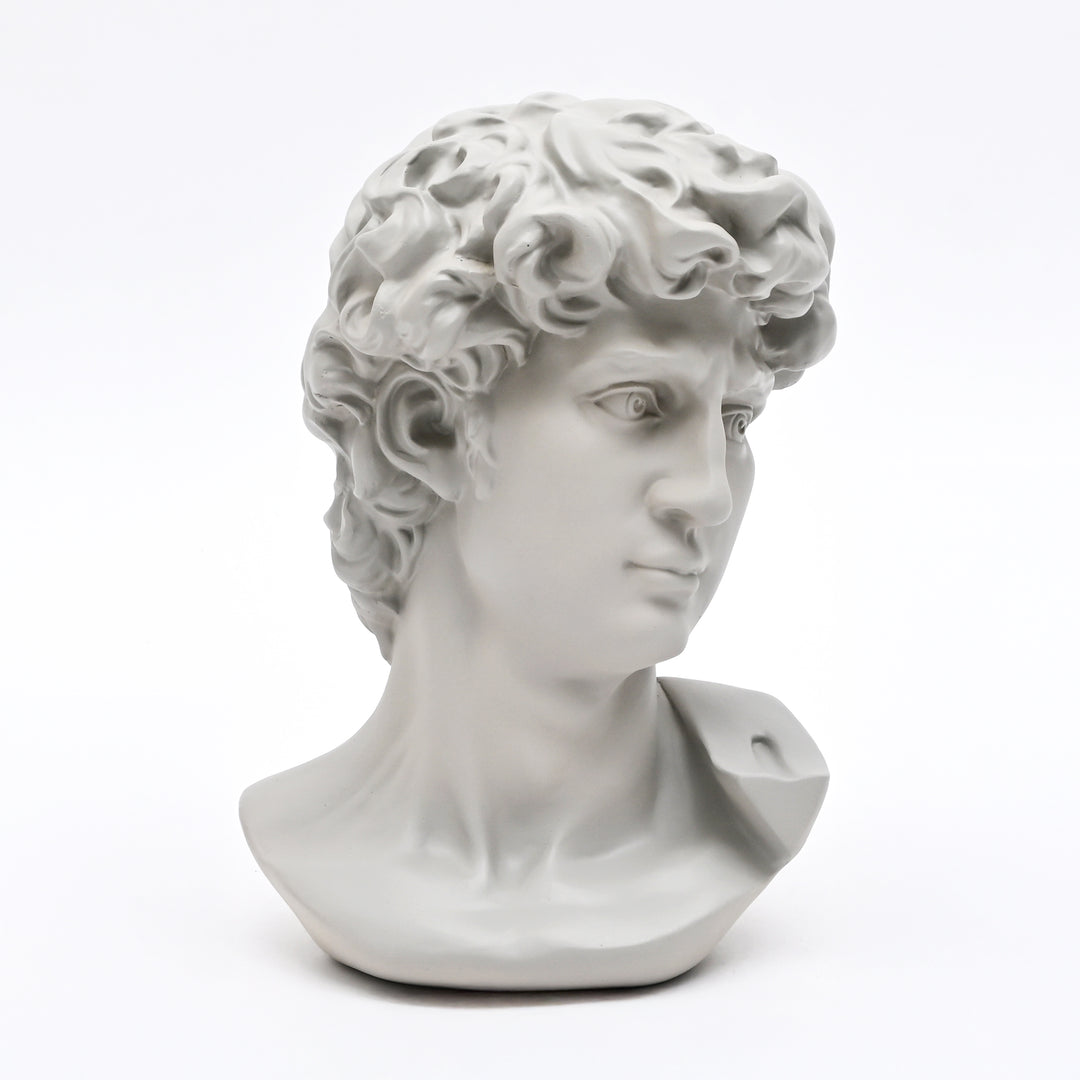 Grey Classical Greco-Roman Bust Sculpture in Matte Finish