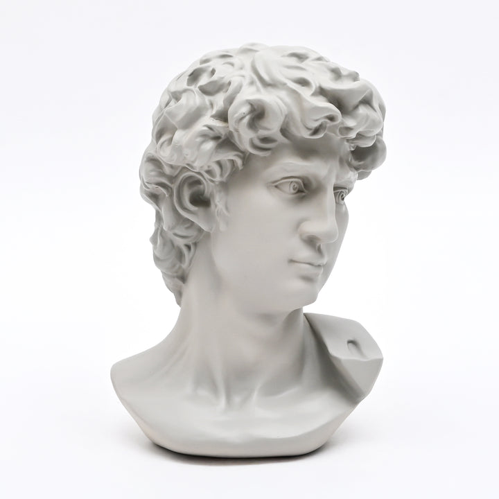 Grey Classical Greco-Roman Bust Sculpture in Matte Finish