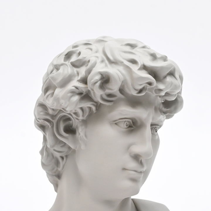 Grey Classical Greco-Roman Bust Sculpture in Matte Finish