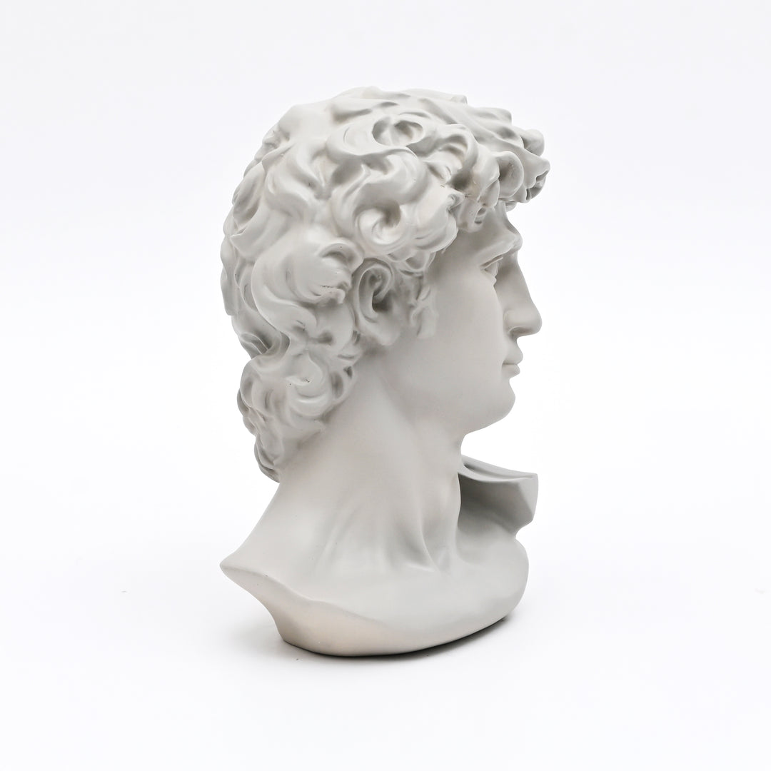 Grey Classical Greco-Roman Bust Sculpture in Matte Finish