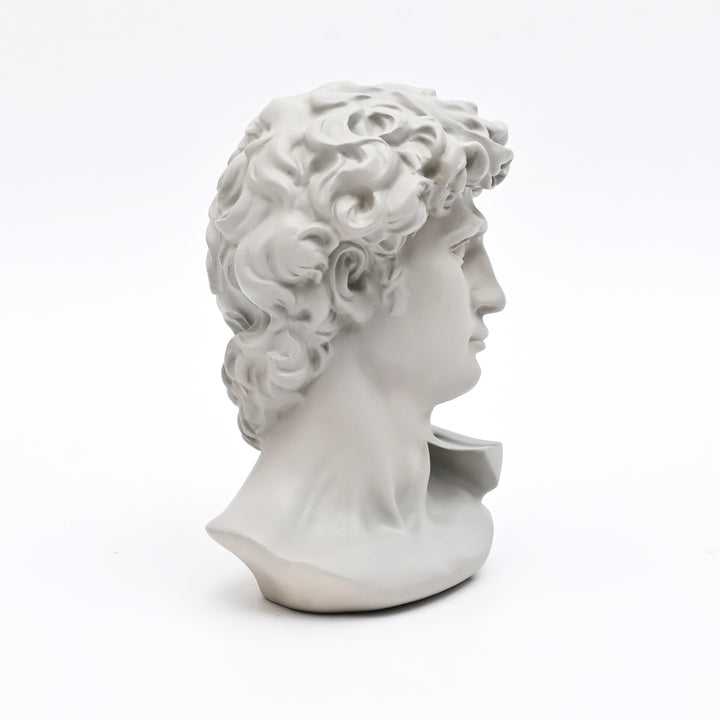 Grey Classical Greco-Roman Bust Sculpture in Matte Finish