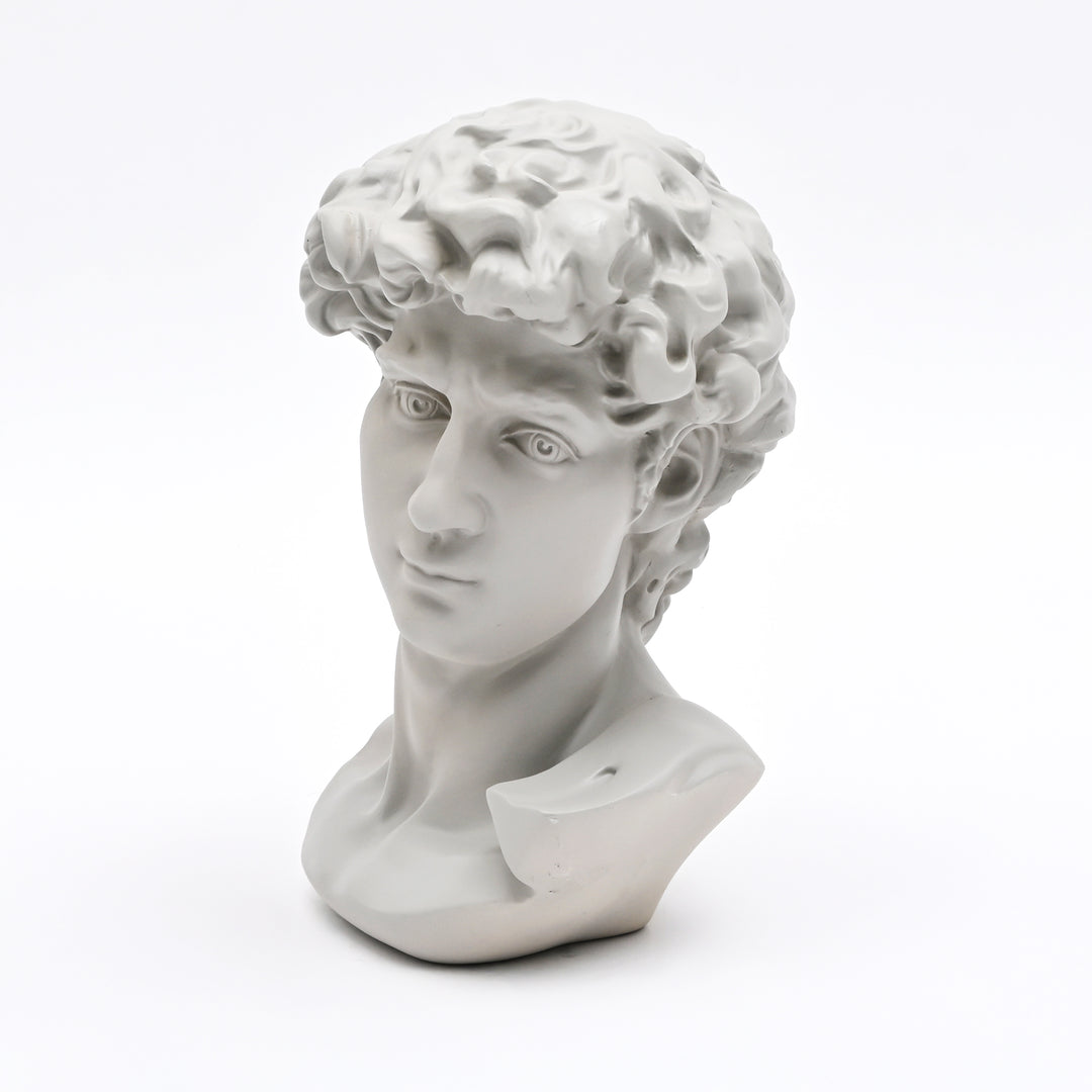 Grey Classical Greco-Roman Bust Sculpture in Matte Finish