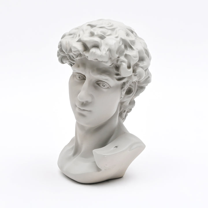 Grey Classical Greco-Roman Bust Sculpture in Matte Finish