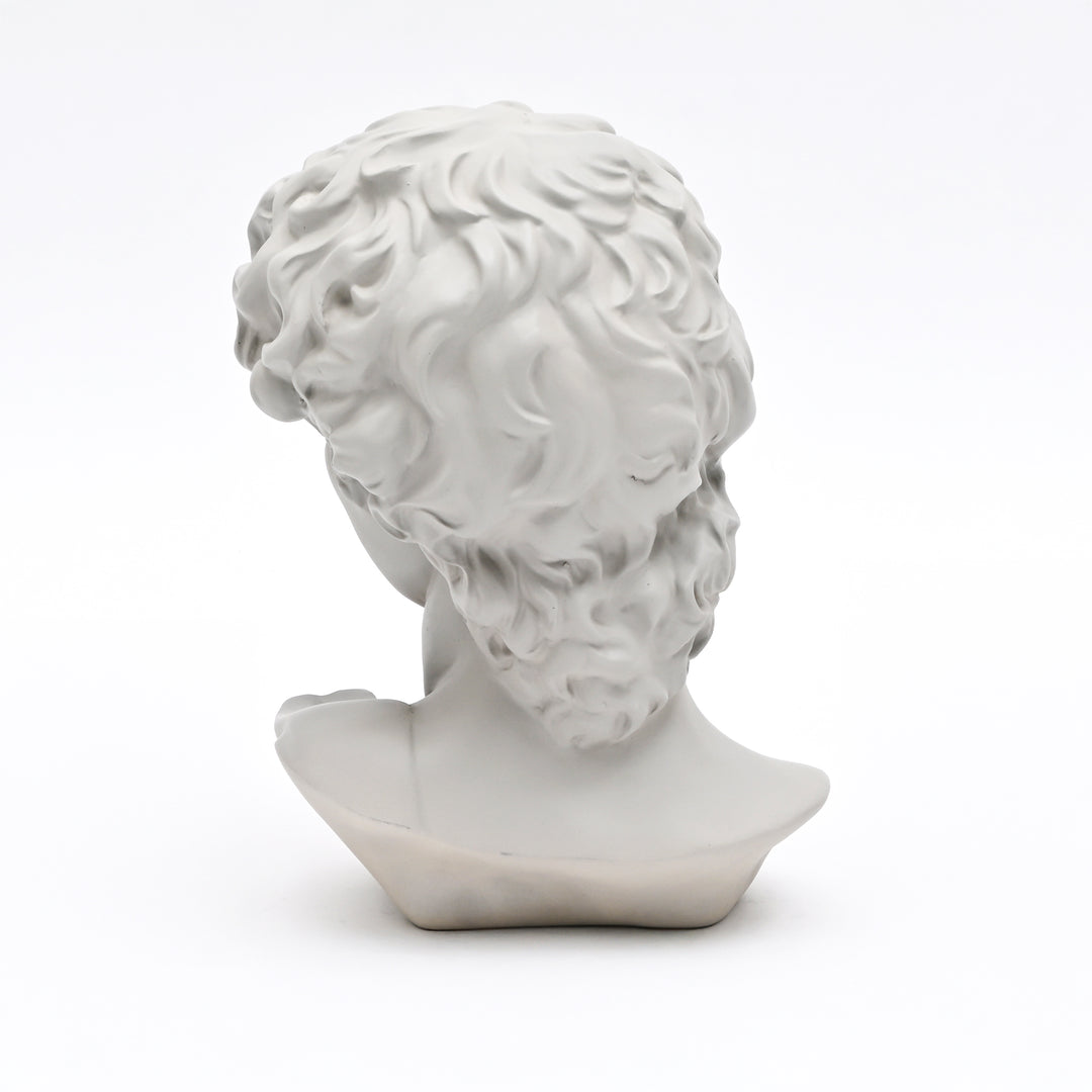 Grey Classical Greco-Roman Bust Sculpture in Matte Finish