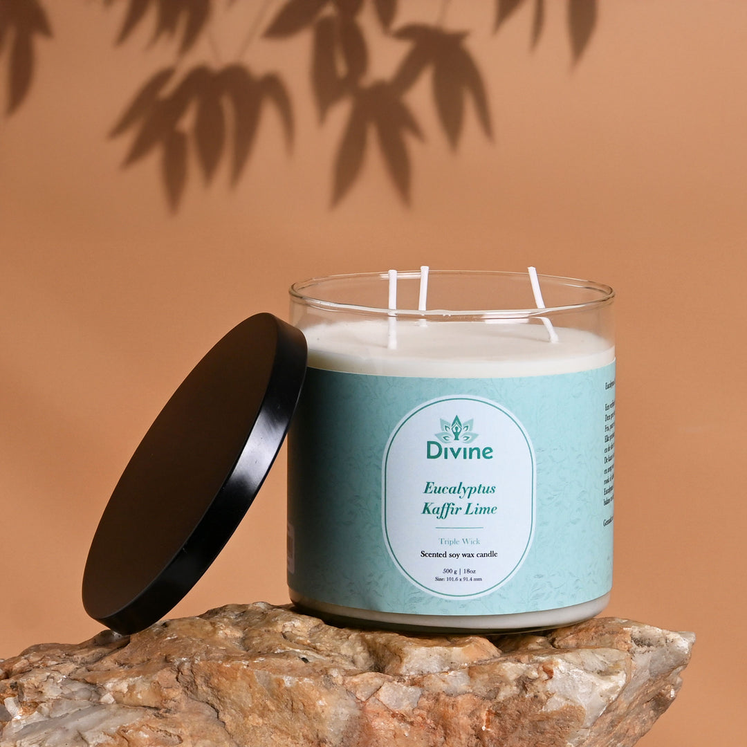Eucalyptus & Kaffir Lime Triple Wick Glass Candle – Invigorating Fresh Scented Candle for Home & Décor