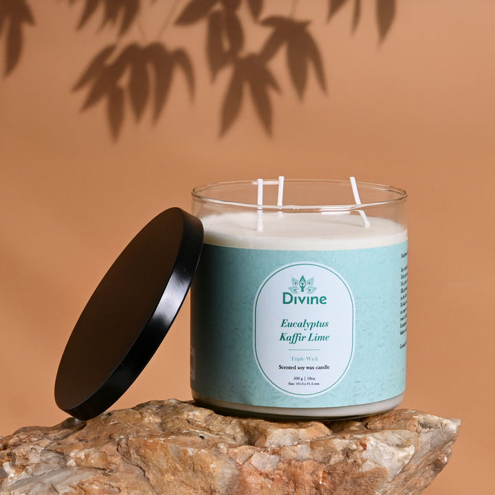 Eucalyptus & Kaffir Lime Triple Wick Glass Candle – Invigorating Fresh Scented Candle for Home & Décor