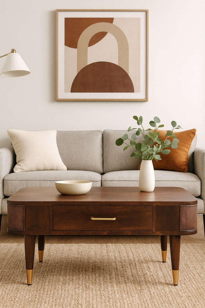 Brown Velvet Solid Mango Wood Belmont Coffee Table with Rattan Panels & Brass Handle