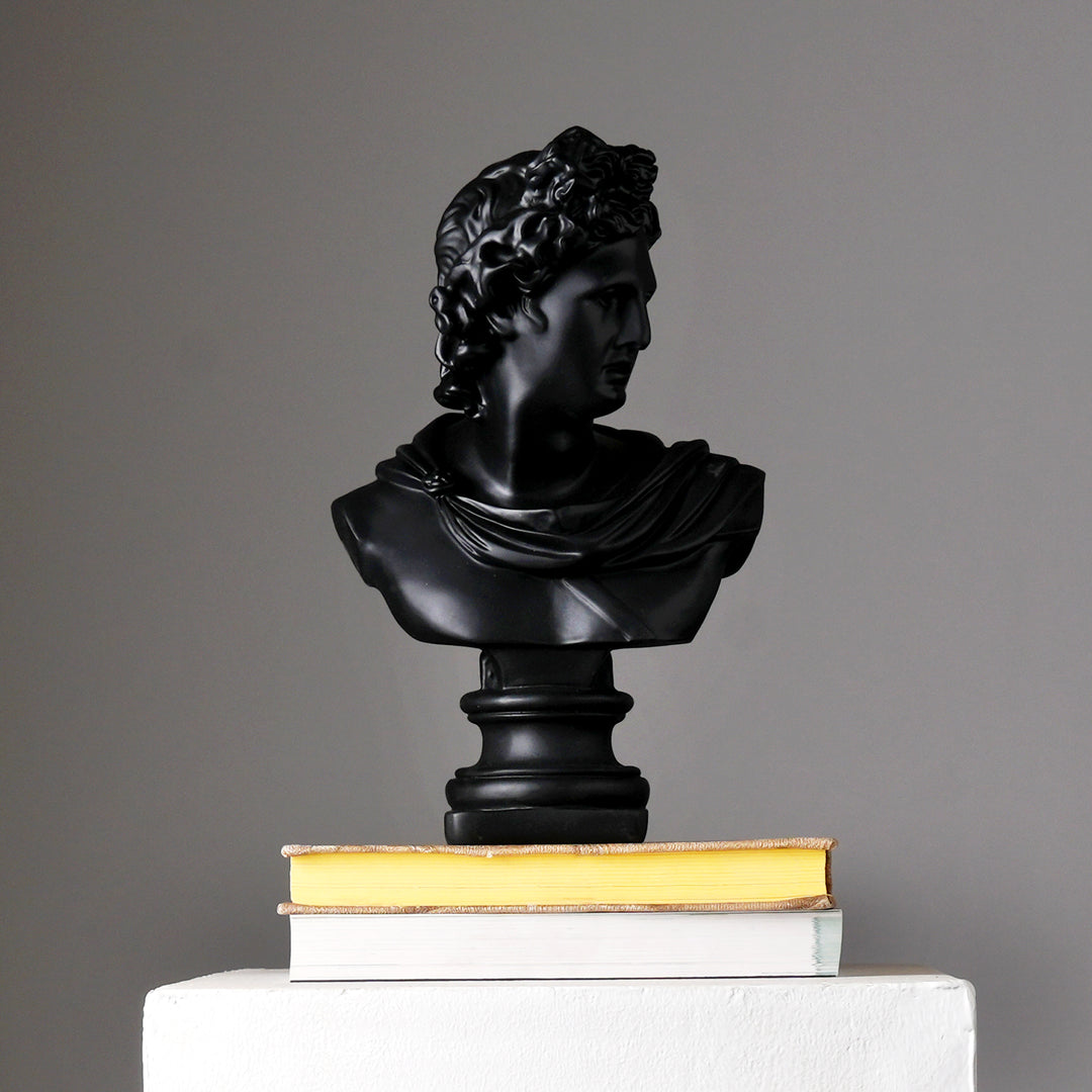 Black Classical Greco-Roman Bust Sculpture in Matte Resin