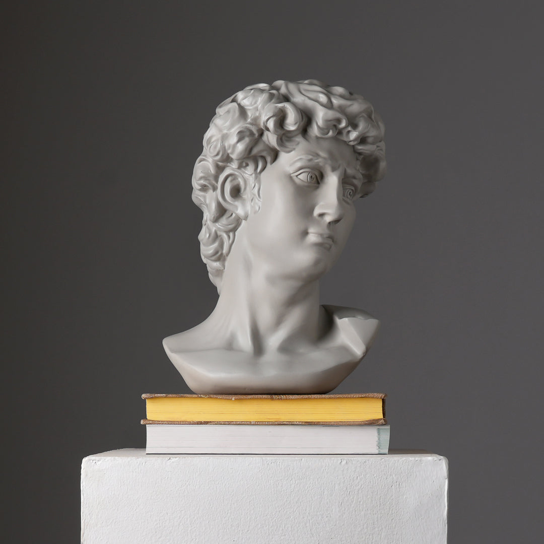 Grey Classical Greco-Roman Bust Sculpture in Matte Finish