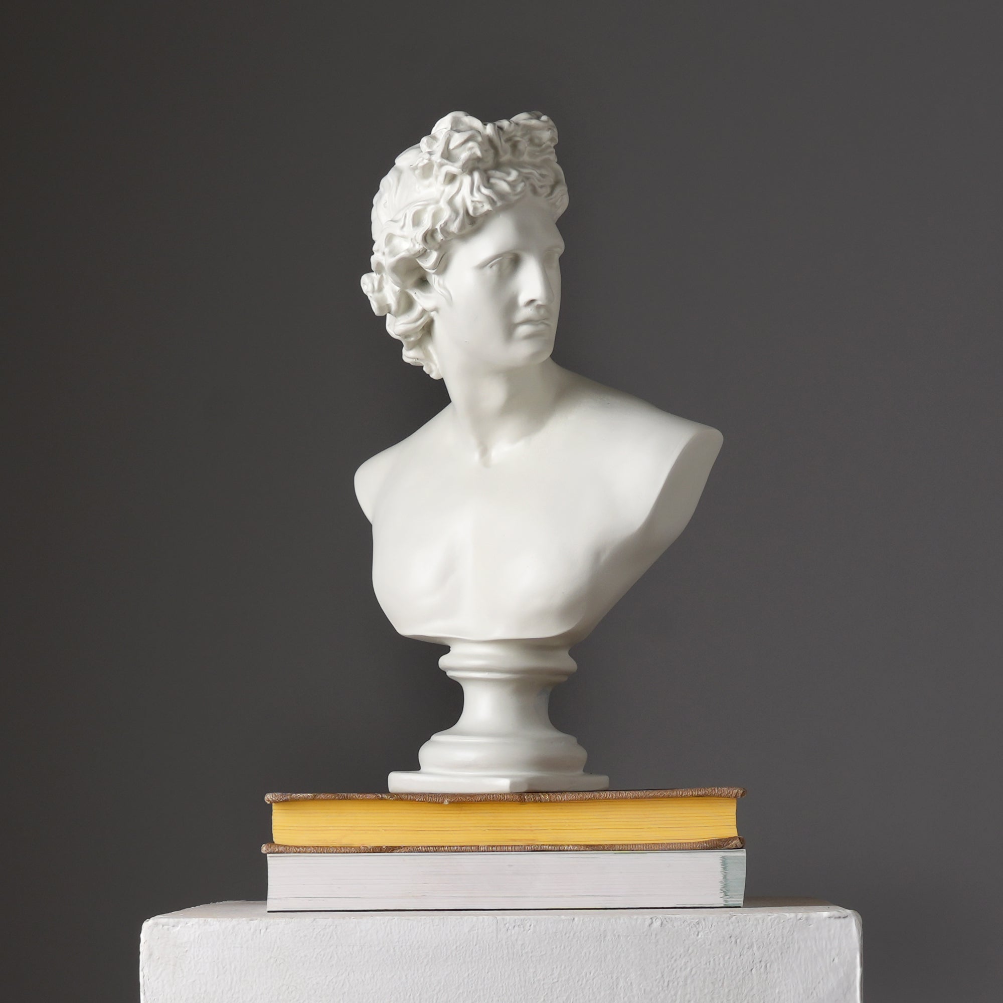 Ivory Neo-Classical Bust Sculpture in Matte Resin – ExpobazaarEU